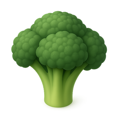 Illustration of a fresh green broccoli head with detailed florets and stalks.