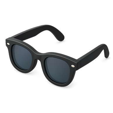 Black wayfarer-style sunglasses with dark tinted lenses and silver rivets on the front corners.